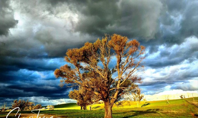 Boorowa Other | Wantana Cottage FarmStay