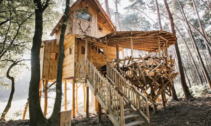 Maaseik House | Warredal's most beautiful treehouse