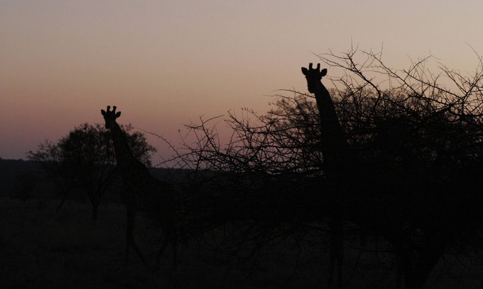 Waterberg Cabin | Waterberg Travelcation -Nature Getaway