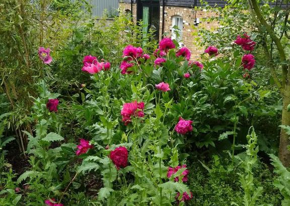 Sittingbourne Apartment | Watercress Barns