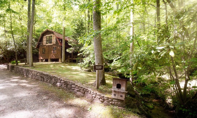 Robbinsville Cabin | Waterfront Cabin with private hiking trails, fire pit, wifi, park-like views