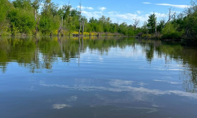 Mozier Cottage | Waterfront cottage in Calhoun County, IL