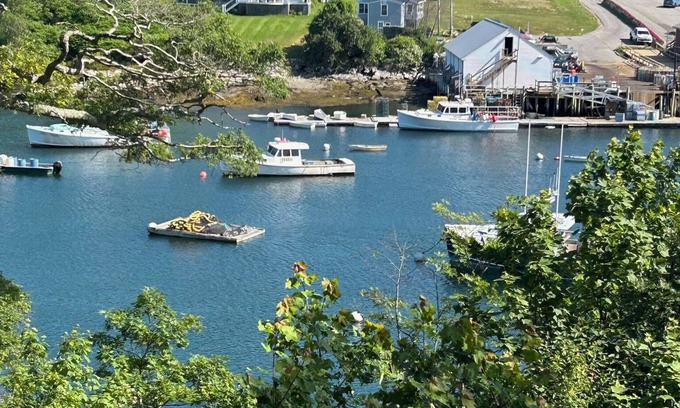 New Harbor Cottage | Waterfront Cottage on Working Fisherman's Harbor with Shared Dock and Float