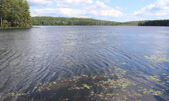 Fitzwilliam Cottage | Waterfront Cottage on Scenic Sportsman Pond