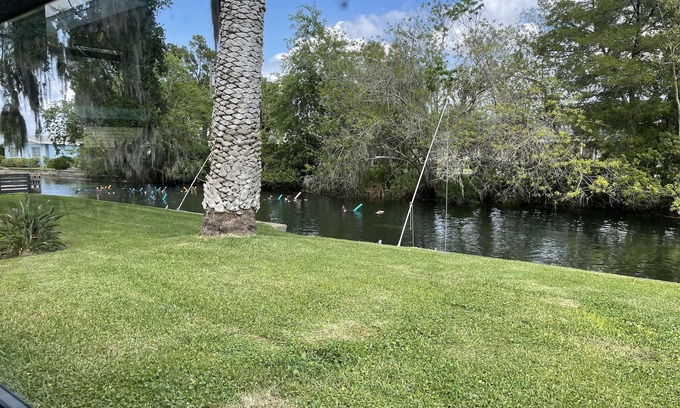 Crystal River House | Waterfront freshwater paradise! Swim with manatees in our backyard!