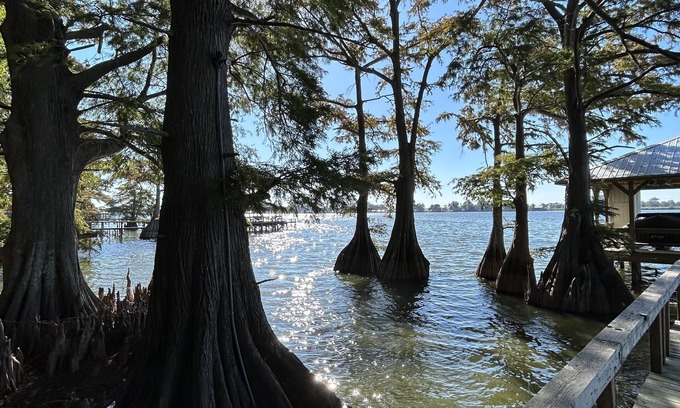 Ferriday House | Waterfront get away retreat! Plenty of fishing opportunities