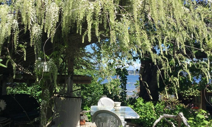 Courtenay House | Waterfront Getaway while visiting family, near Bike Trails, and Nature Walks.