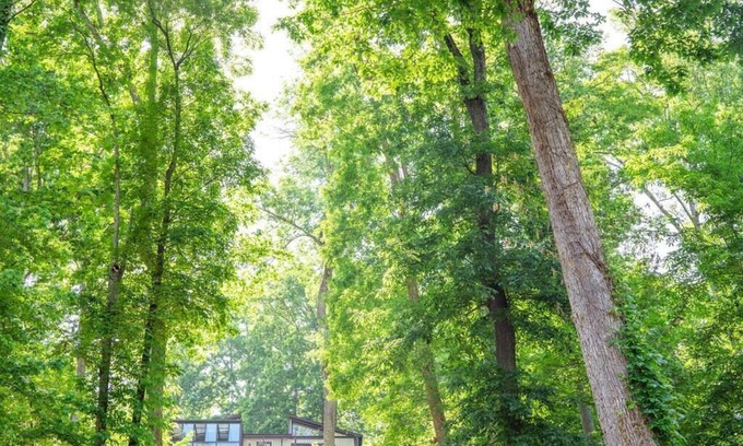 Whiteside House | Waterfront River Views | Glass Sunroom | Peaceful