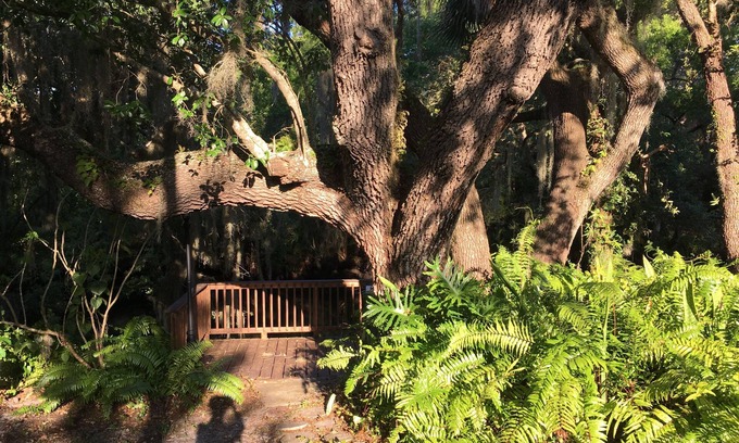 Warm Mineral Springs House | Waterfront Villa Manatee on Warm Mineral Springs *Pool *Deck