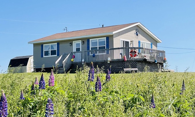 Darnley House | Wavie Waters Cottage! - King bed, Kayaks, Centrally located, stunning views.