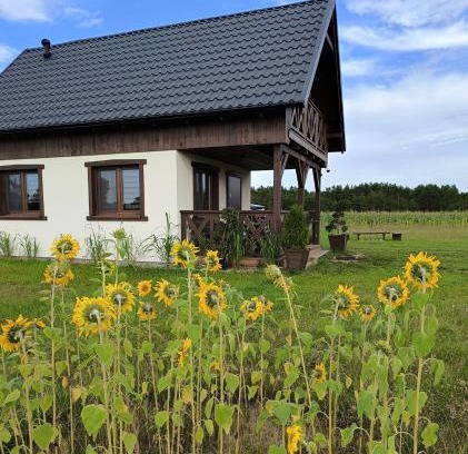 Wdzydze Tucholskiez House | Wdzydzka Chatka