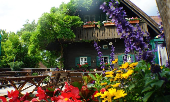 Pistorf Bed & Breakfast | Weingut Buschenschank Schneiderannerl