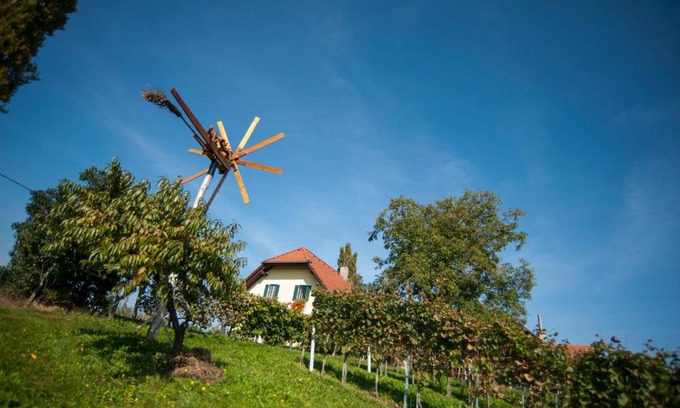 Gamlitz Apartment | Weingut Leopold Dietrich