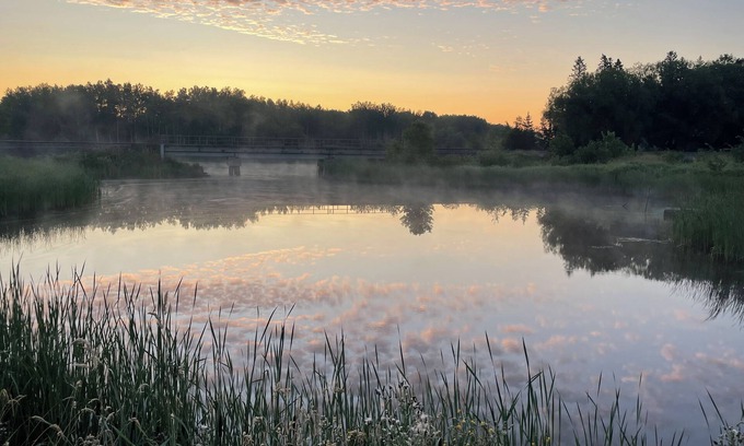 Ray Cabin | Welcome Friends and Family 2 Monthly Rental