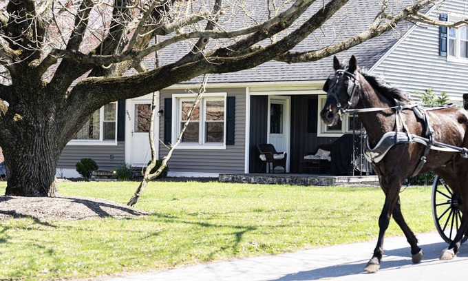 Intercourse House | Welcome to the Country Nest