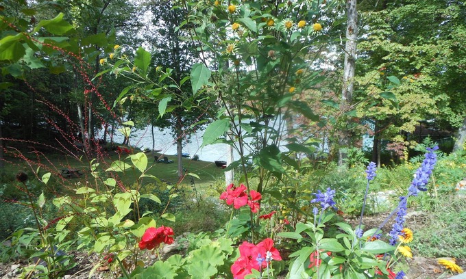 Red Hook Apartment | WELCOME TO THE COUNTRY - LAKE FRONT PROPERTY - THE FOX DEN STUDIO