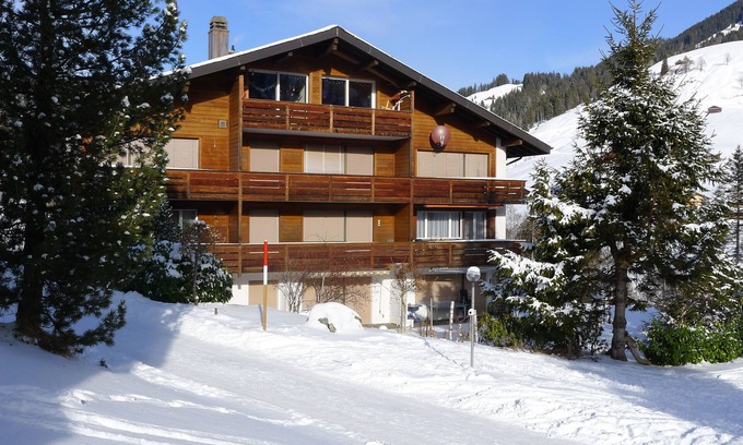 Ruedisbach Apartment | Well-kept apartment in the Swiss mountains (whether Interlaken)