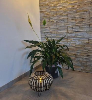 Mechernich House | Wellness Ferienhaus