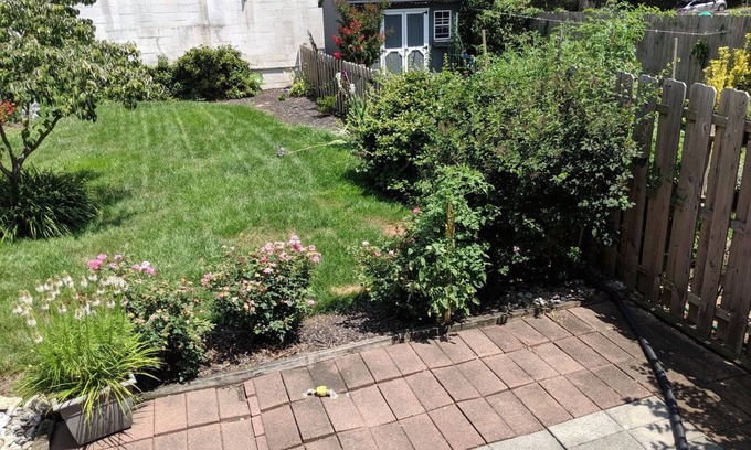 West Chester House | West Chester Borough House with backyard just 2 blocks from center of town!