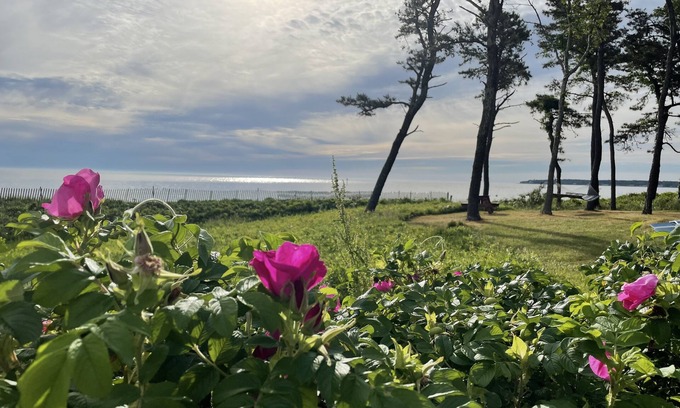 West Chop House | West Chop Sandy Beach, Water Front, 6 BR, Great Views!