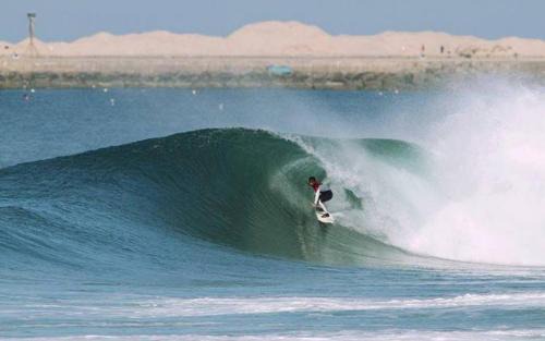 Barra Apartment | Wherry Green Guest House (PRAIA DA BARRA)❤️