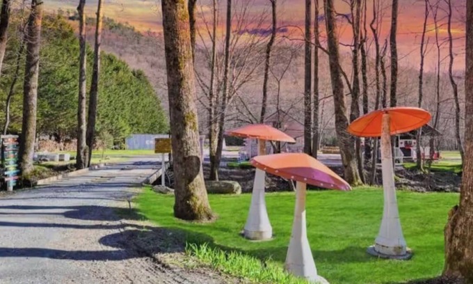 Hayesville Cottage | Whimsical Sugar Shack in Blue Ridge with Stream, Lollipop Garden & Petting Zoo