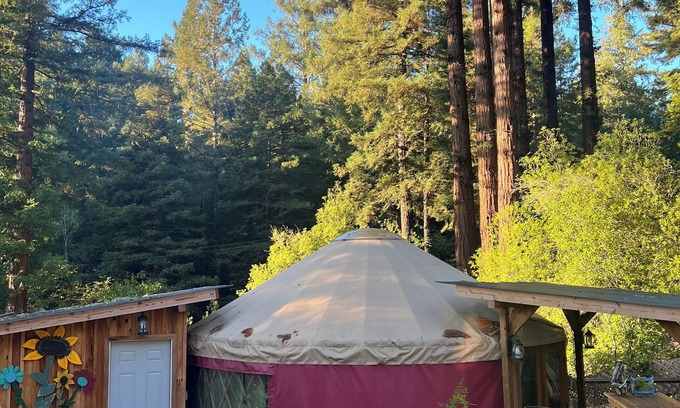 Guerneville Cabin | Whimsical Wilderness: Wonderful Yurt Stay