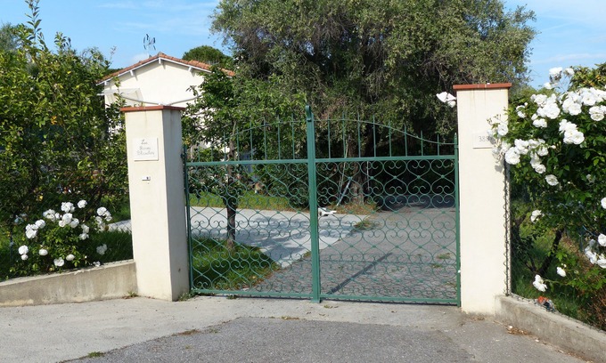 Mougins House | White roses CANNES MOUGINS