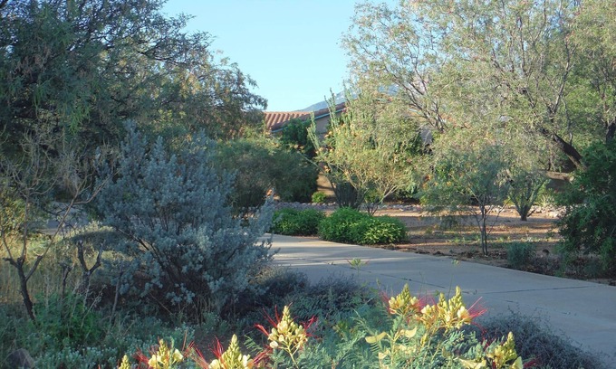 Sierra Vista Southeast House | Wiggle Your Toes!