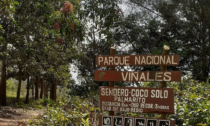 Vinales House | Wilber House