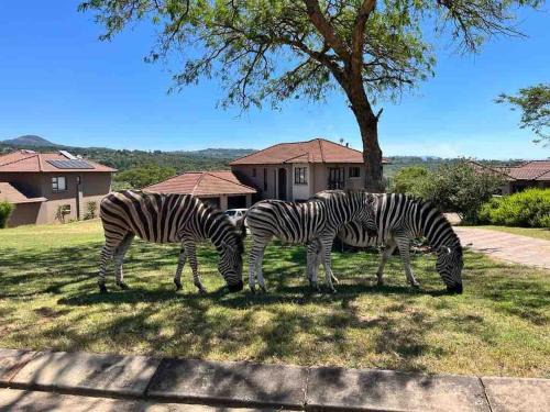 Nelspruit House | Wild Antelope on your doorstep!