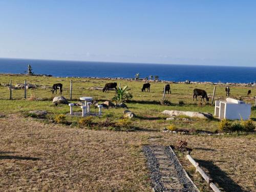 Ngquza Hill House | Wild Coast Grosvenor Holiday Home