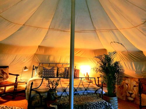 Cawston Other | Wild Retreat