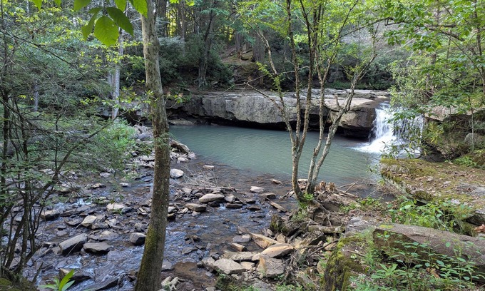 Leivasy Apartment | Wild & Wonderful WV cabin at Hominy Falls - 5 acres of wilderness on creek n