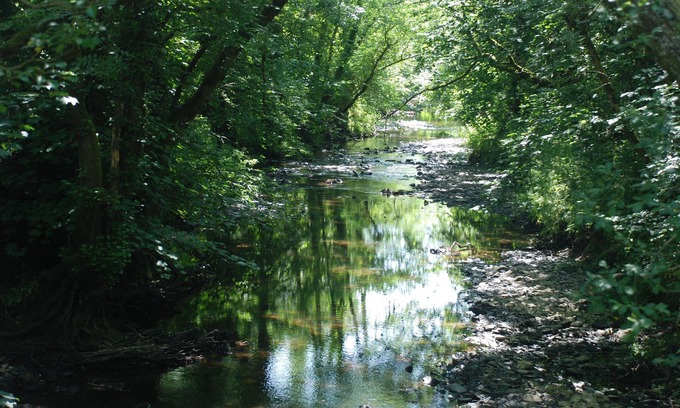 St. Giles on the Heath Cottage | Wildlife haven with river
