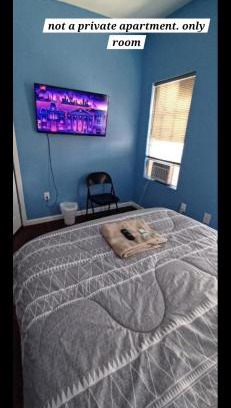 Weequahic Apartment | Willoughby