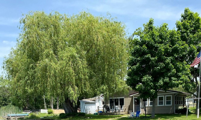 Solon Township Cottage | Willow Shores - Newly Updated Lake Front Cottage