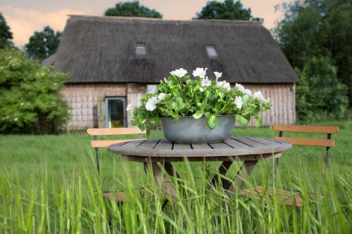 Nieuw-Schoonebeek House | Wilmsboo