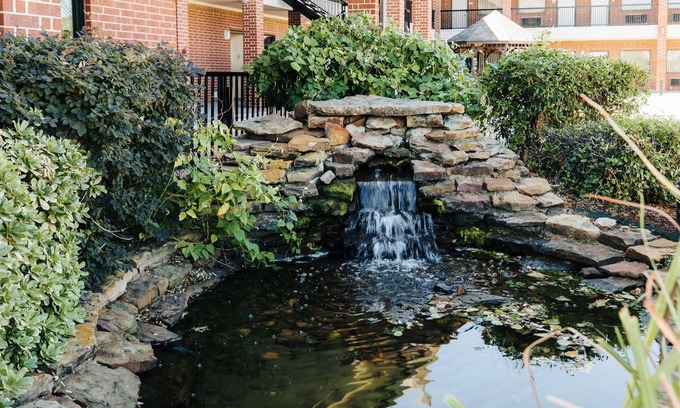 Humble Hotel | Winchester Inn & Suites Humble/IAH/North Houston