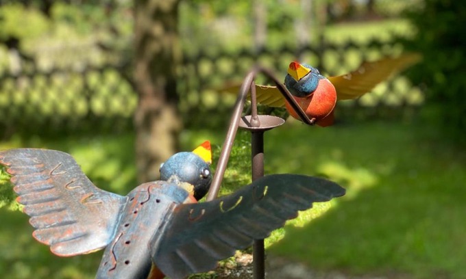 Rhein-Lahn-Kreis District House | Windrose