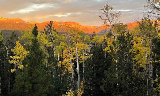 Alma House | Windsong Lodge Colorado Mtn Views/Hot Tub/Close to Skiing/Hiking/Biking/5 acres