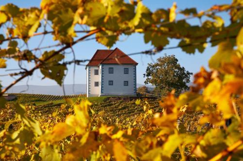 Slovenske Konjice Apartment | Wine Grower's Mansion Zlati Gric