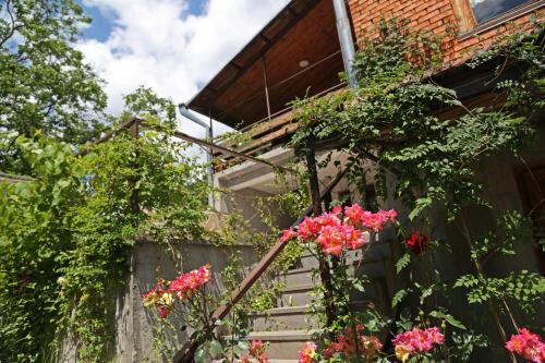 Vedzebi Bed & Breakfast | Wine House KNIAZ