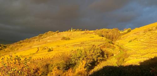 Chavanay House | Wine Passion Panoramic