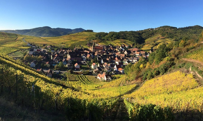 Niedermorschwihr House | Winehouse 1751 near Colmar, one hour away from Germany and Switzerland