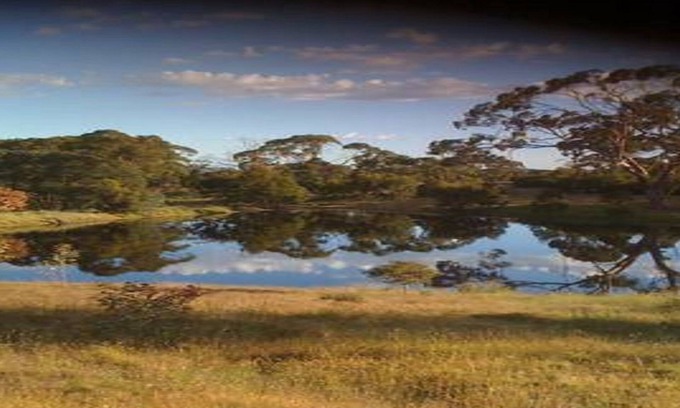 Jutland House | Wings Barossa Bird & Bush Retreat