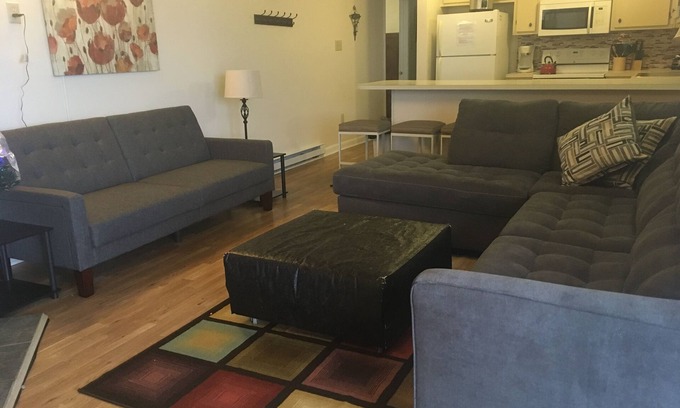 Ghent Apartment | Winterplace Condo D303