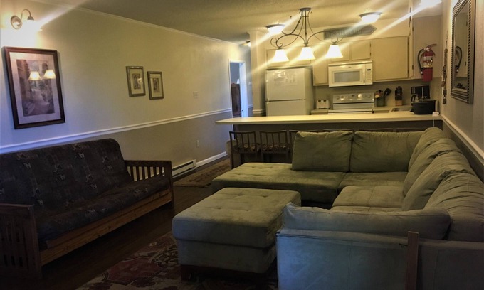 Ghent Apartment | Winterplace Condo D306