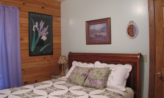 Buena Vista Cabin | Wintersong Cabin #4 near Main St Skiing & Hot Spgs. Ask about last minute deals?
