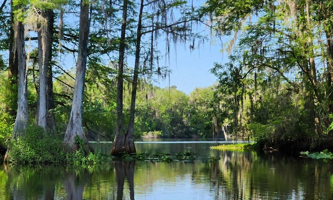 Citrus Springs Apartment | Wise Owl Retreat, a beautiful suite amongst towering oaks, on the River.